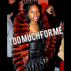 Dj KaySlay - Too Much For Me (feat. Nas, Baby, Foxy Brown, Amerie)