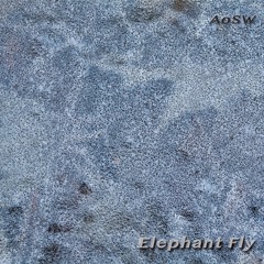 AoSW - Elephant Fly