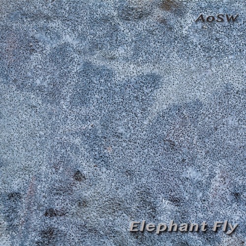 AoSW - Elephant Fly