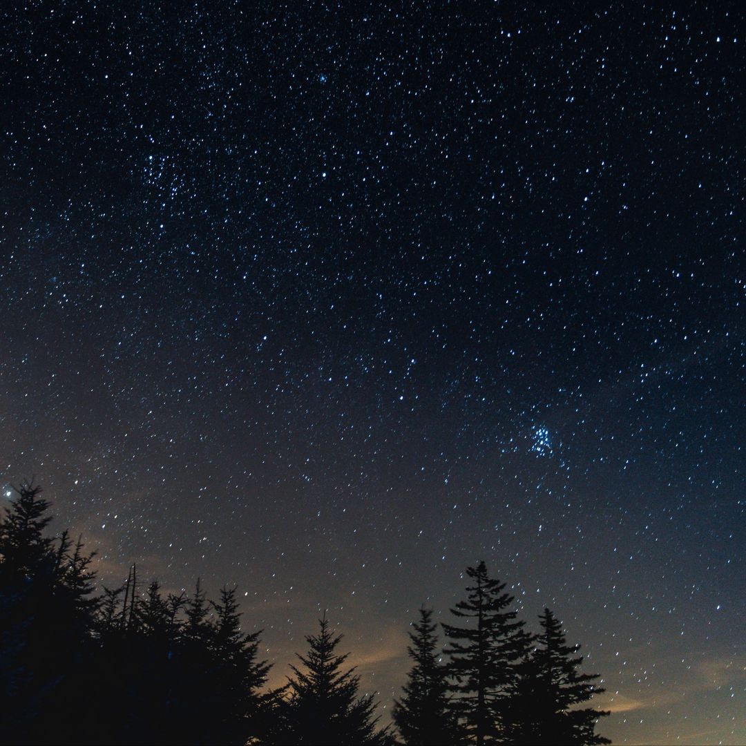 Shiloh Dynasty – Pure Imagination (Fryska Remix)