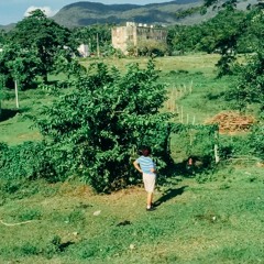 040818001 TASCAM 0299 DN