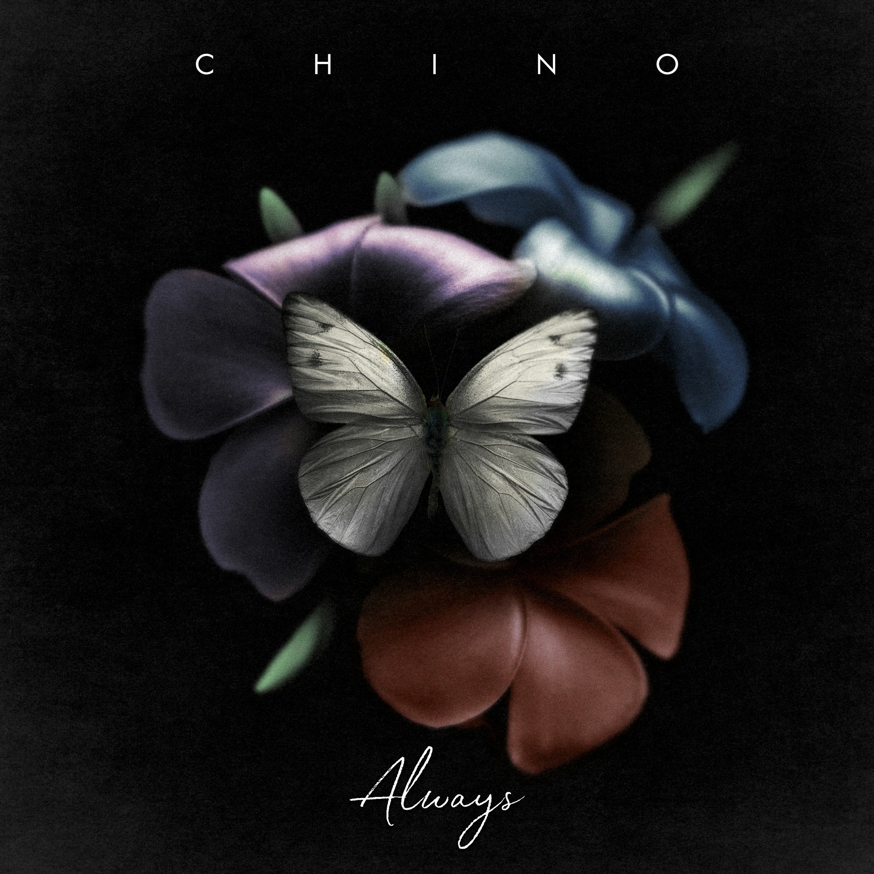 Chino - Always episode artwork