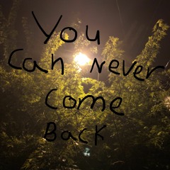 You Can Never Come Back