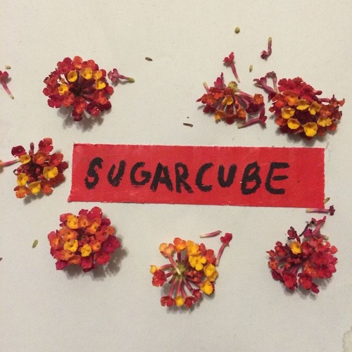 Sugarcube - Tonight