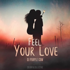 DJ Purple Cow - Feel Your Love (Original Mix)