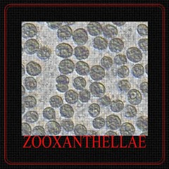 Zooxanthellae