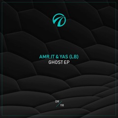 Amr.it & Yas (LB) - 313 (Driven Recordings)