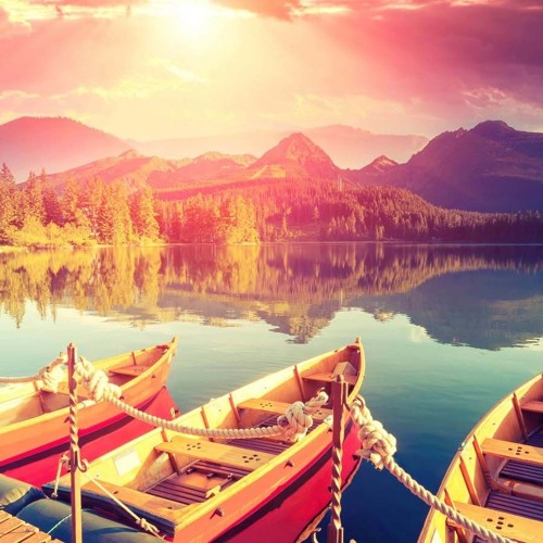 من روائع القارىء إدريس ابكر    تلاوة مريحة وخشوع رائع