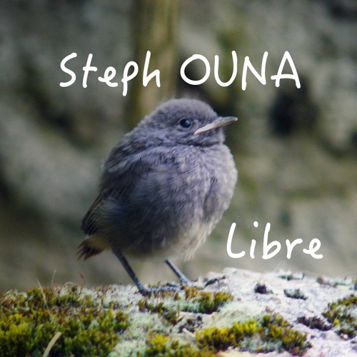 Libre