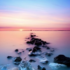 Can't Help Falling In Love x Elvis Presley