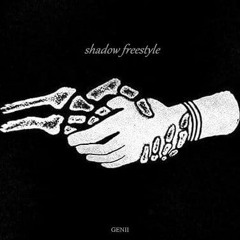 shadow freestyle