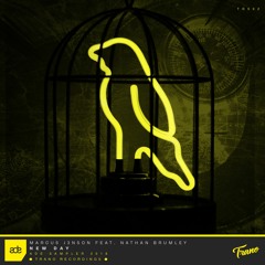 Marcus J3nson feat. Nathun Brumley - New Day // TRS02
