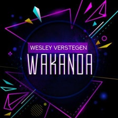 Wesley Verstegen Wakanda