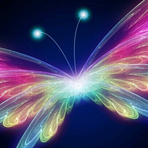 The Butterfly Transmission: Let Go, Enter the Void, Awaken! by ...