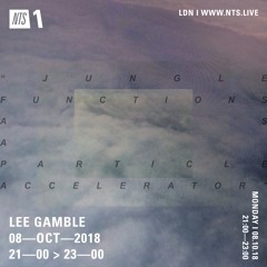 Lee Gamble — 'Jungle As Particle Accelerator 1' — OCT NTS 18