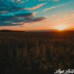 Logic Levls - Define Love