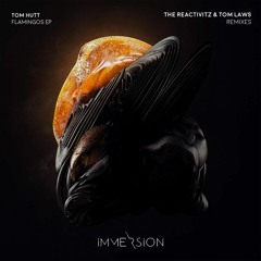 Tom Hutt - Flamingos (The Reactivitz Remix)
