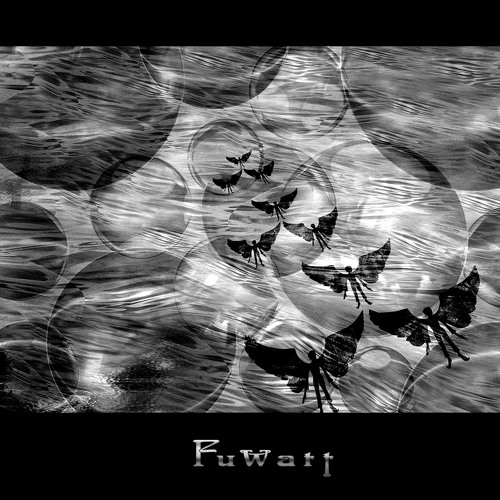 Like migratory birds