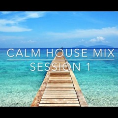 Calm House Mix Session 1 | Deep House