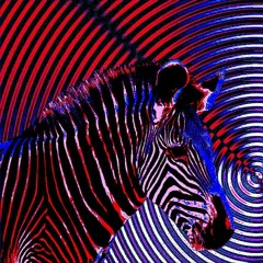 Live jam Session_2804_02_Shortened Rough mix - Analog only - Animal State Project