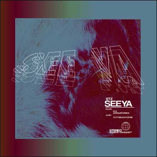 See Ya (feat. Joshua Torres)