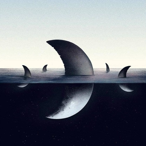 PRGN - flashbacks