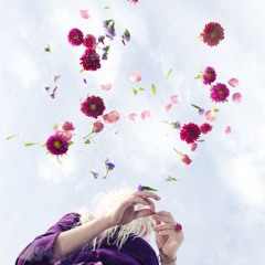 Raveena - if only (Robocoste remix)