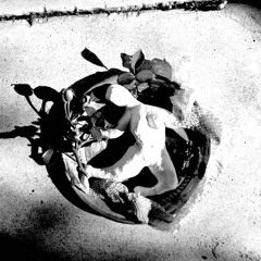 Die Prinzessin und der Drache (Noise Mix)