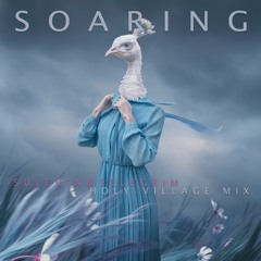 Soaring [Holy Village Mix] SULEVIA+PELEGRIM