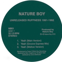 Unreleased Ruffness 1991-92 snippets
