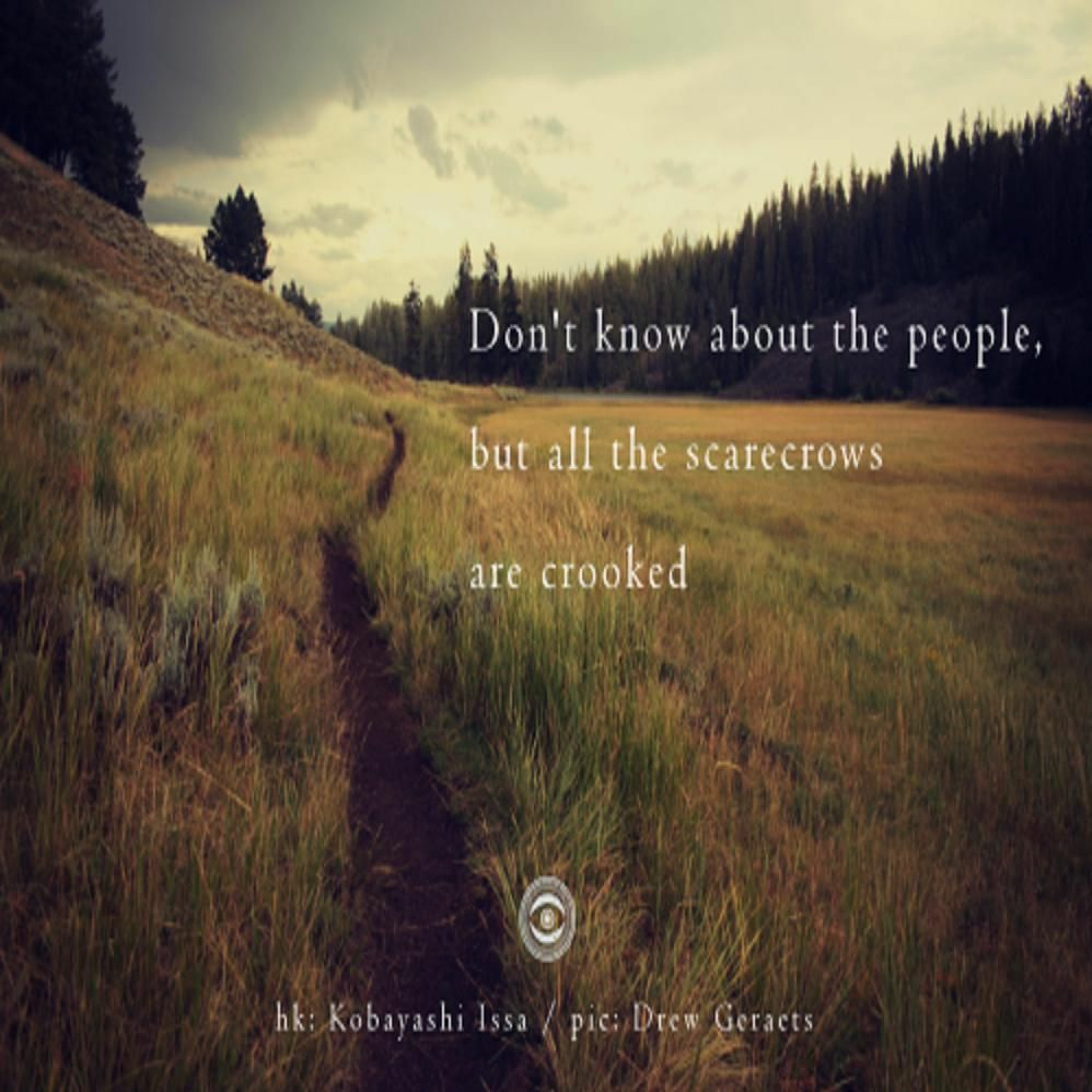 Don't Know About The People, But The Scarecrows Are Crooked (Naviarhaiku 249) episode artwork