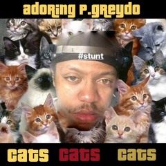 Adoring Pgreydo X CATS Prod by Ewock