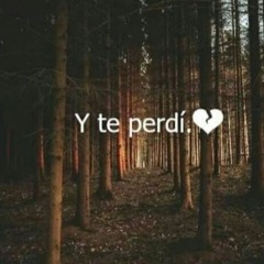 Te Perdi Cover