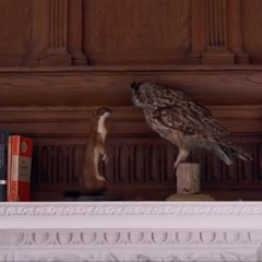 Have We Met Before - Tom Rosenthal and Fenne Lily - Cover (2018)