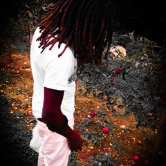 T-Alpochino - K33P IT