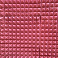Ricela