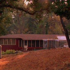 This Is Where We Live, Shelly