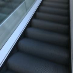 You Should Start A Fight