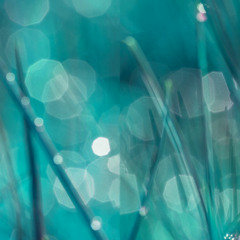 Time Passing I (Contemplative Piano and Strings)