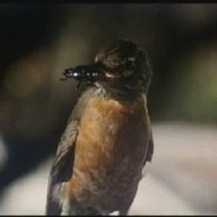 It's A Strange World, Isn't It ?