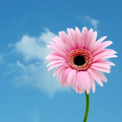 I Get To Love You (Cover)