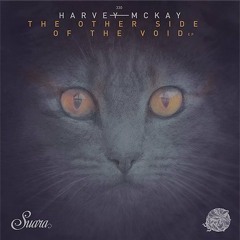 Harvey McKay-Other Side Of The Void (Original Mix)