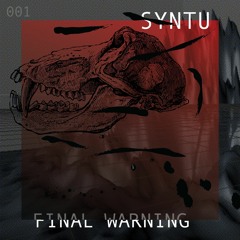 SYNTU - Final Warning (Original)