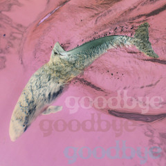 Porpoise Song (Theme from Head) - Monkees cover - October 2018 Decoder Ring Download