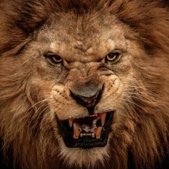 Monday Motivation 10-15-18