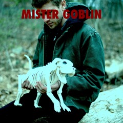 Mister Goblin - Be Right There