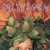 Artwork for Splendora - Rat Fink