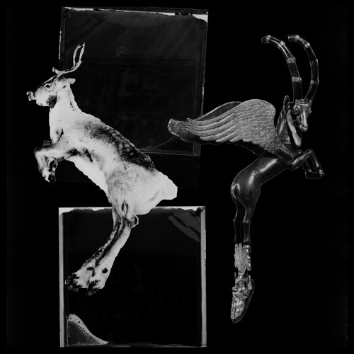 08 - Sectio Aurea - Giove