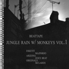 JUNGLE RAIN WITH MONKEYS Vol. 1
