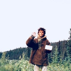 Into The Wild